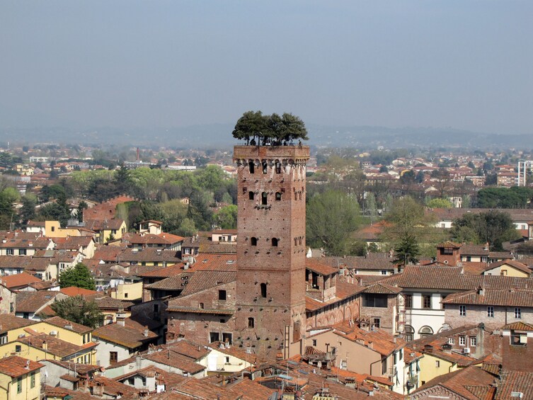 Private minivan excursion to Lucca