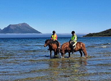 Tromsø: Lyngen Horseback Riding Experience