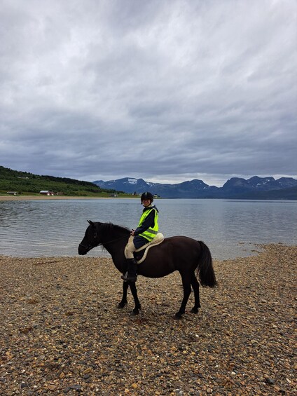 Picture 3 for Activity Tromsø: Lyngen Horseback Riding Experience