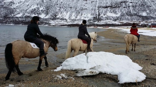 Tromsø : Expérience d'équitation à Lyngen