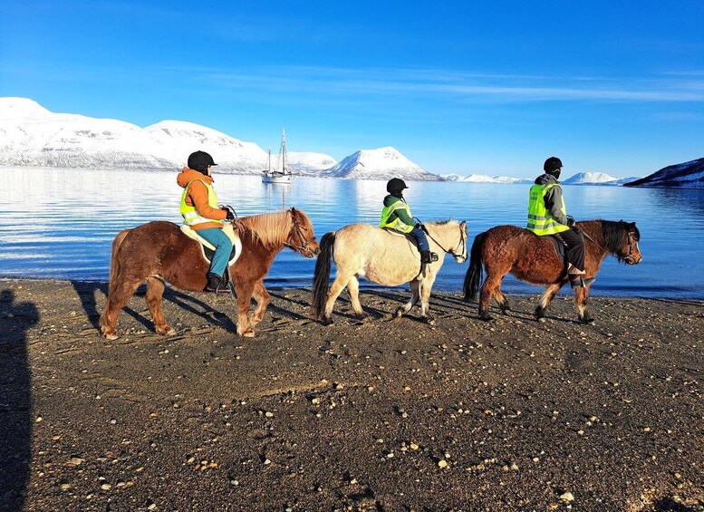 Picture 4 for Activity Tromsø: Lyngen Horse Summer Riding Experience