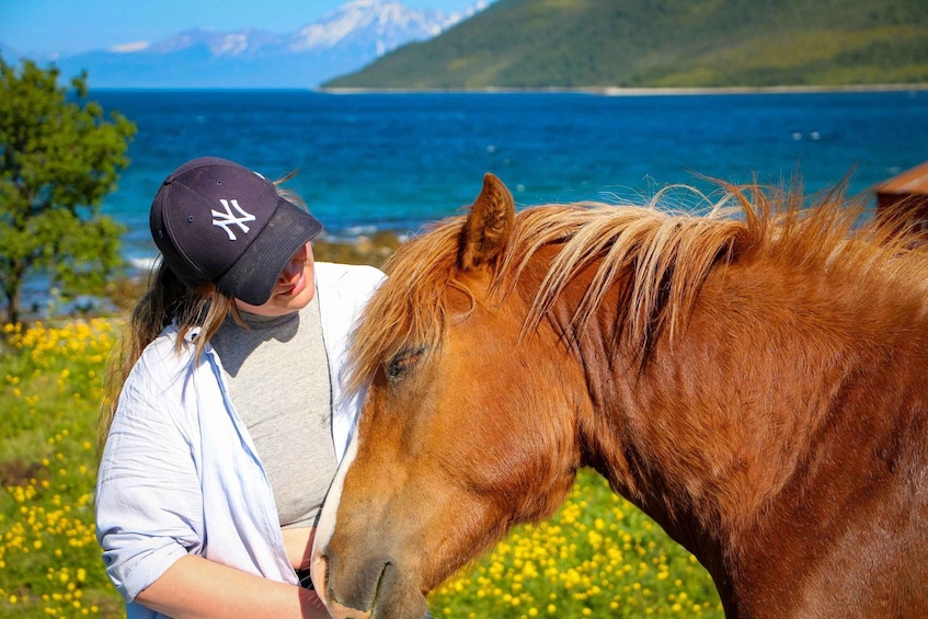 Picture 2 for Activity Tromsø: Lyngen Horseback Riding Experience