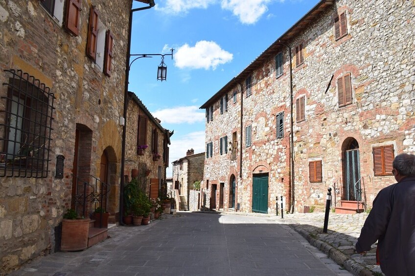 Private Minivan Excursion to Assisi and Cortona