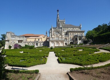 Una aventura por el bosque y el palacio de Bussaco - Coim