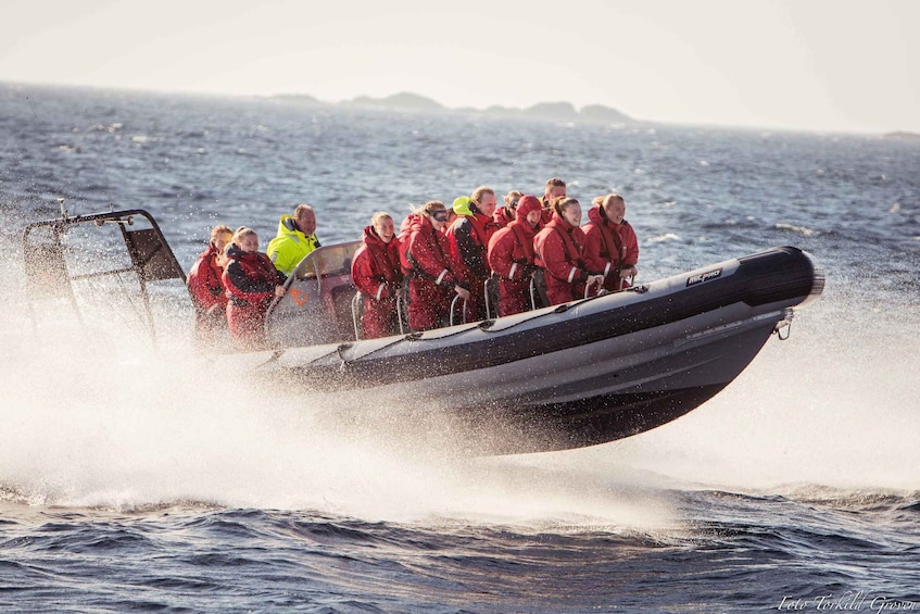 Picture 3 for Activity Haugesund: Rib Boat Tour with Island Visit