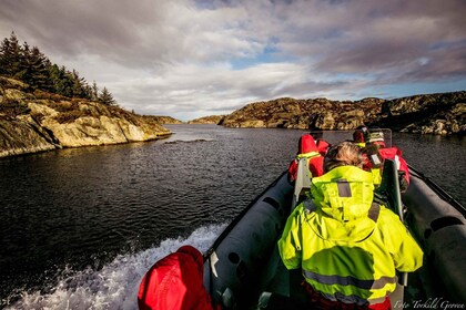 Haugesund: Rib-båttur med øybesøk