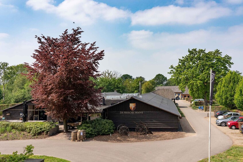 Picture 3 for Activity Loosbroek: Grain-to-glass Whisky Distillery Tour & Tasting