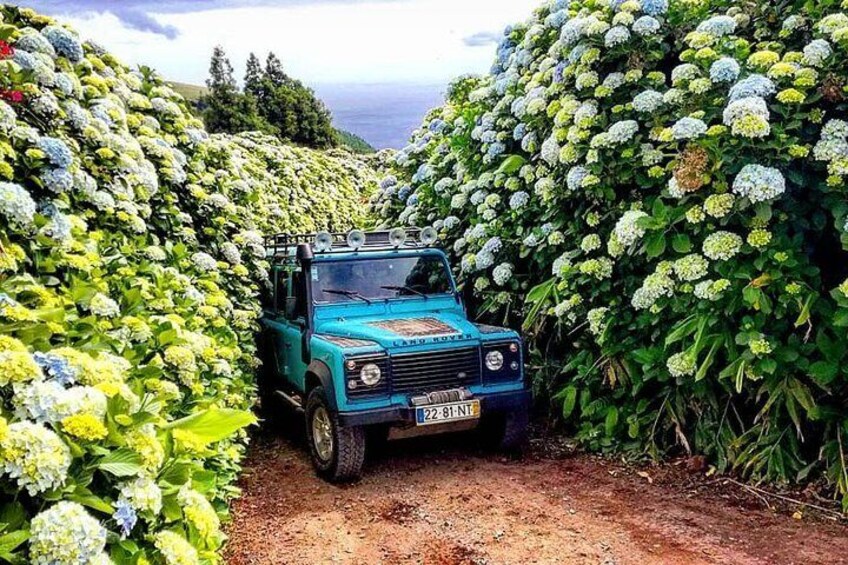 Jeep Tour Full Day Sete Cidades & Lagoa do Fogo with lunch and drinks included.