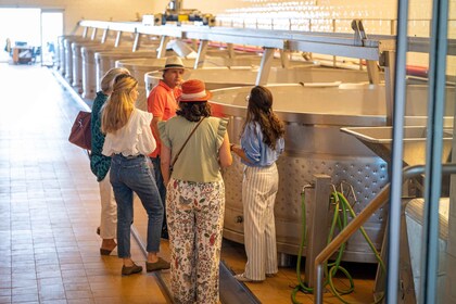 Degustación de vinos a medida de Herdade da Comporta