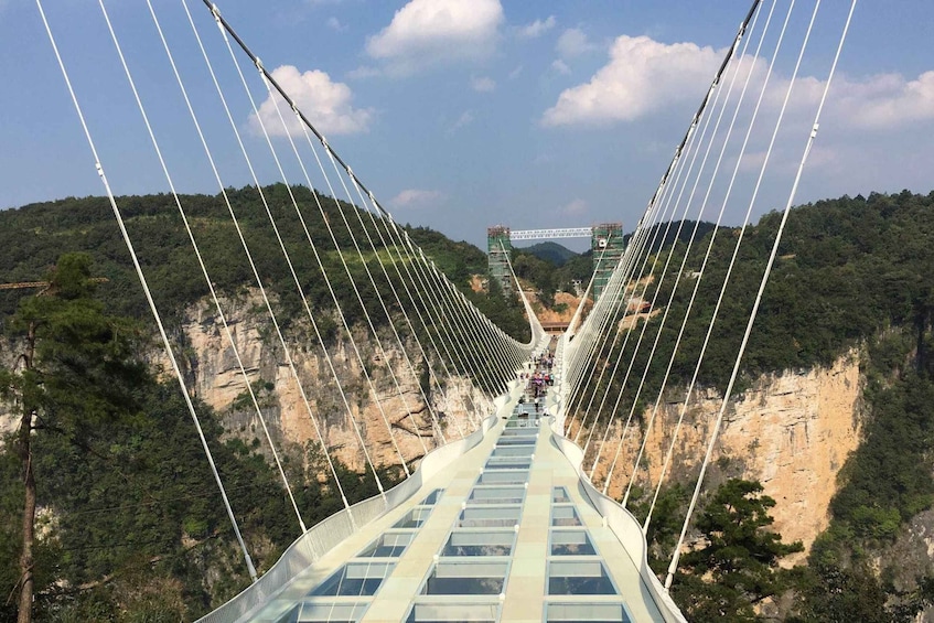 Picture 6 for Activity Private Day Tour to Tianmen mountain & Sky walk&Glass Bridge