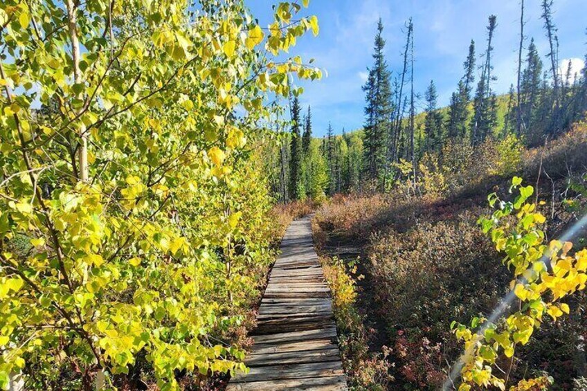 Angel Rocks Hike and Chena Hot-Springs Soak Guided Tour