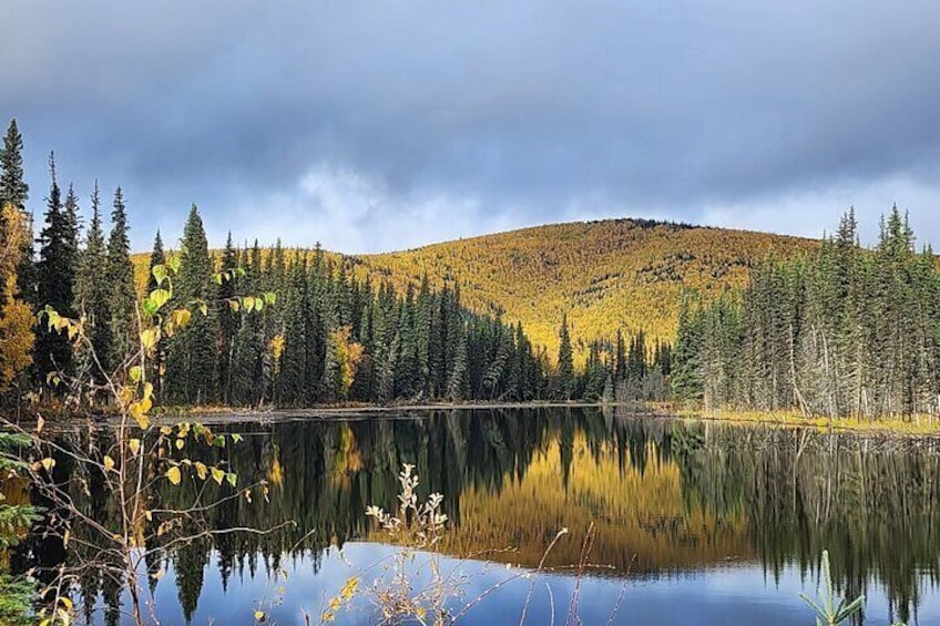 Captivating scenery!