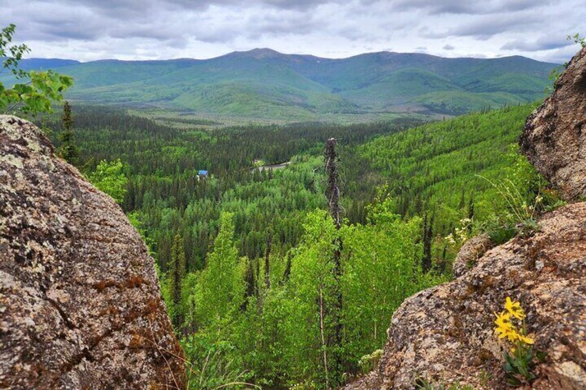 Angel Rocks Hike and Chena Hot-Springs Soak Guided Tour