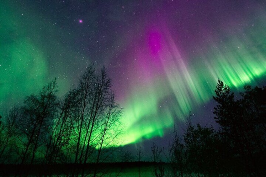 Aurora Hunting Guarantee Tour with Photography