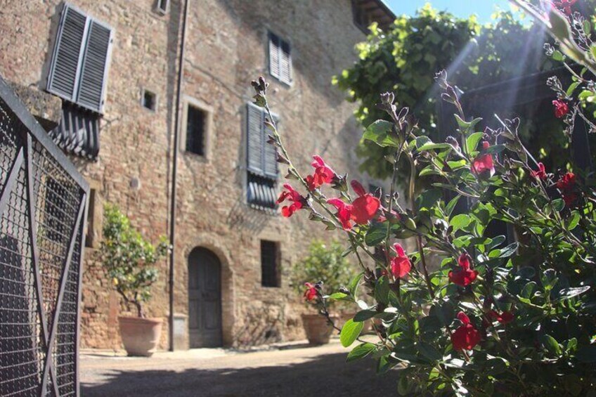 Guided tour with wine tasting and local organic products