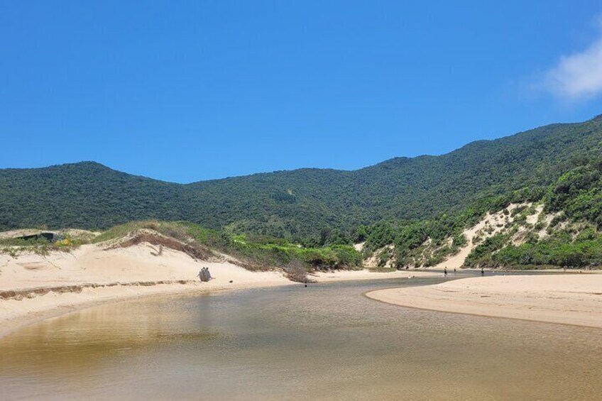 The lagoon