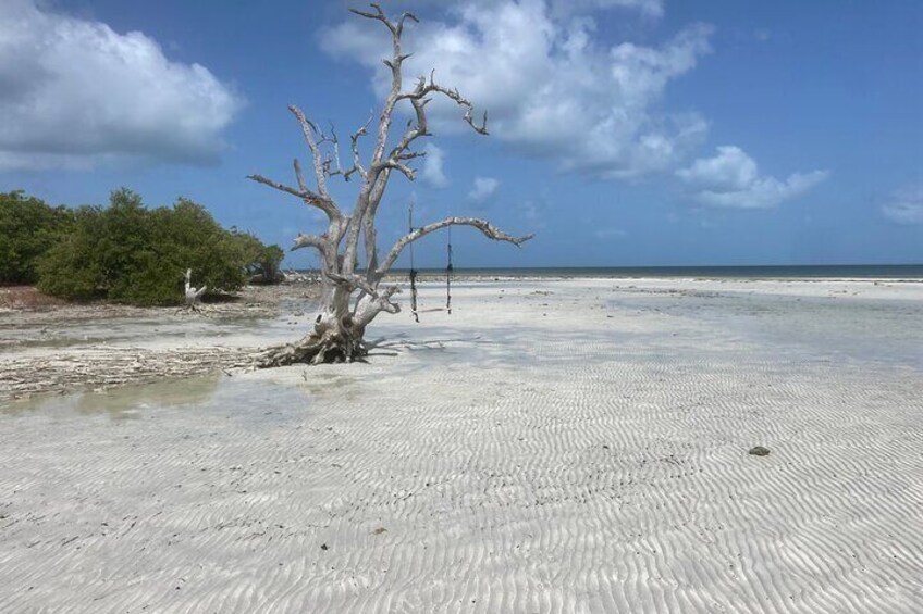 Private Sandbar Adventure in Key West Backcountry