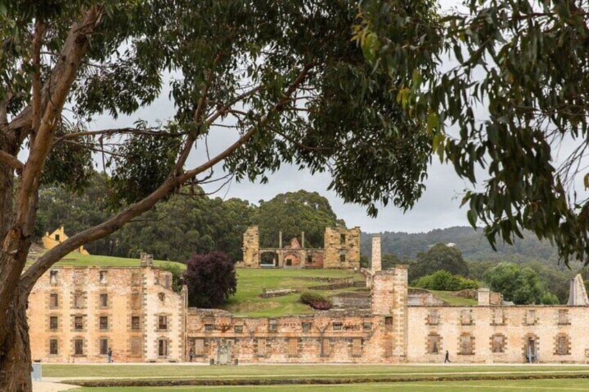 Time Traveler Tale Unveiling History at Port Arthur Full Day Tour