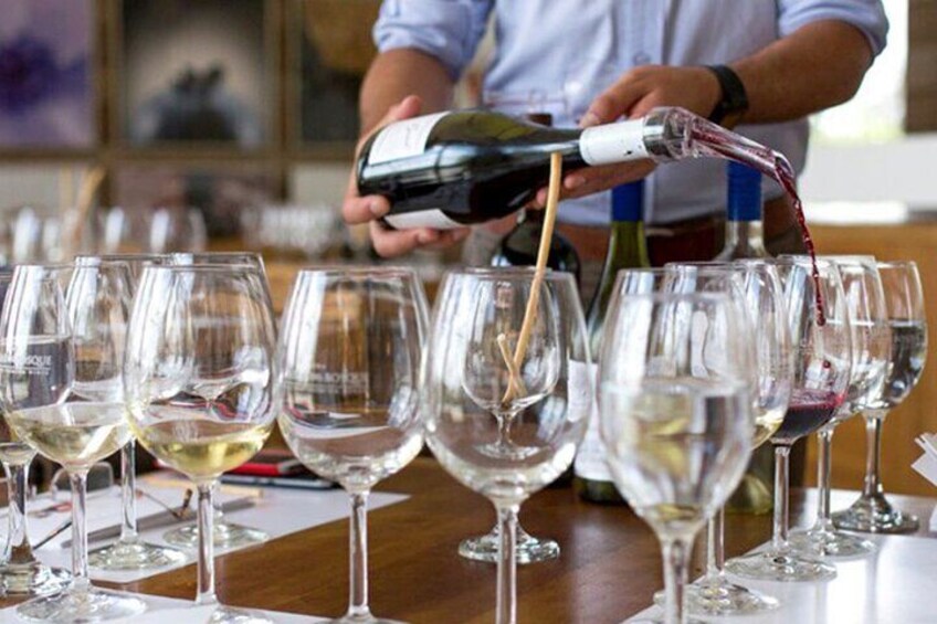 Private Winemaker Tour in Casablanca Valley 