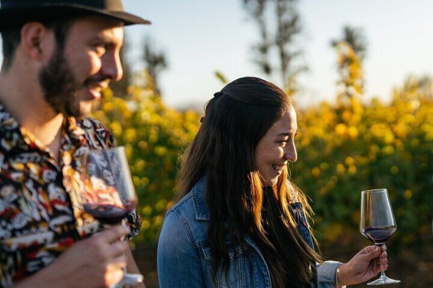 Private Winemaker Tour in Casablanca Valley 