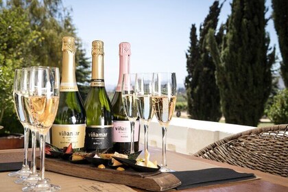 Private Winemaker Tour in Casablanca Valley