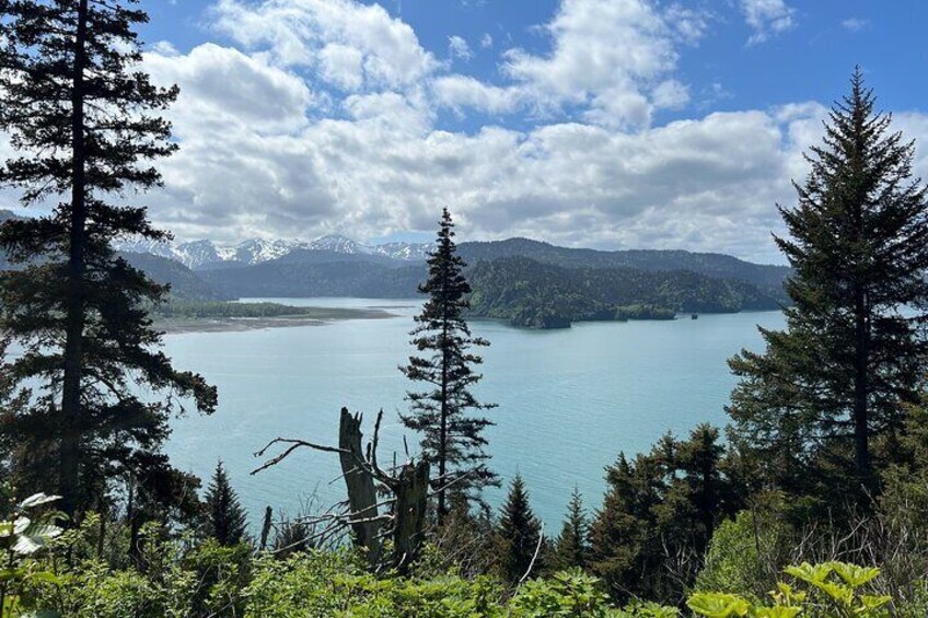 Grewingk Glacier Hike in Kachemak Bay