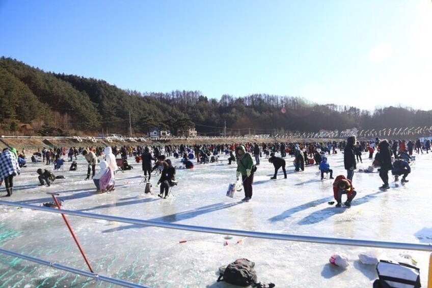 Ice Fishing Festival - Hwacheon Sancheoneo & Pyeongchang Trout