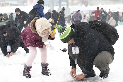 Ice Fishing Festival - Hwacheon Sancheoneo & Pyeongchang Trout