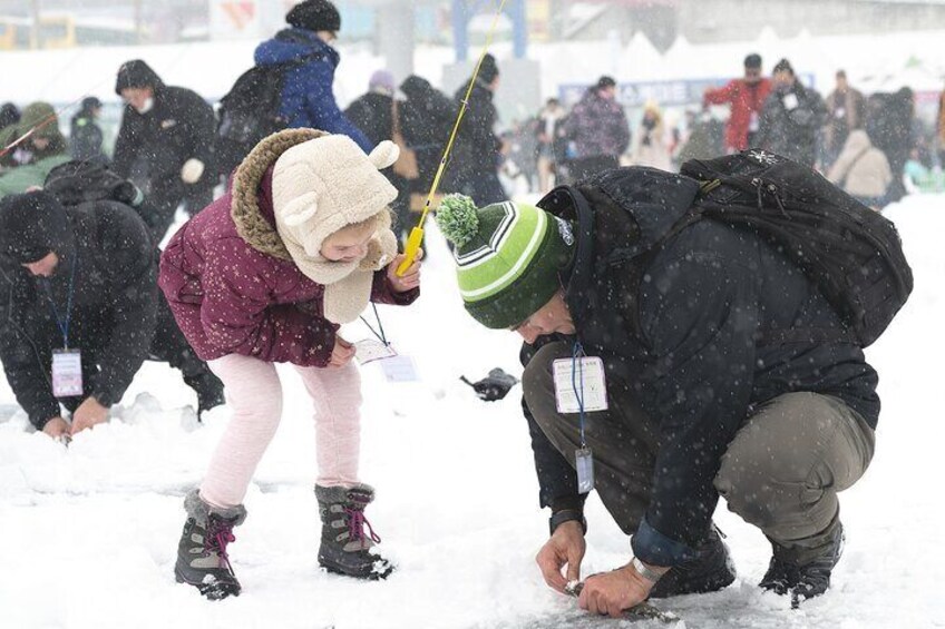 Ice Fishing Festival - Hwacheon Sancheoneo & Pyeongchang Trout