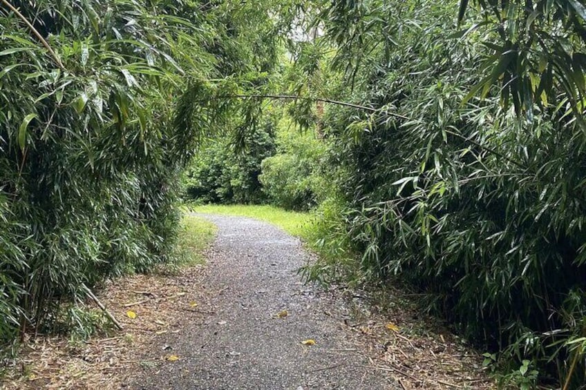 Hike to Connect with Nature and a Power of a Huge Waterfall 