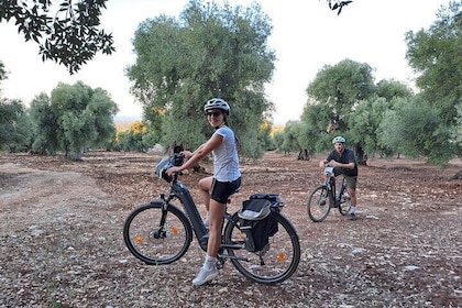 E-bike Tour in Ostuni, the centuries-old olive trees and the rock village