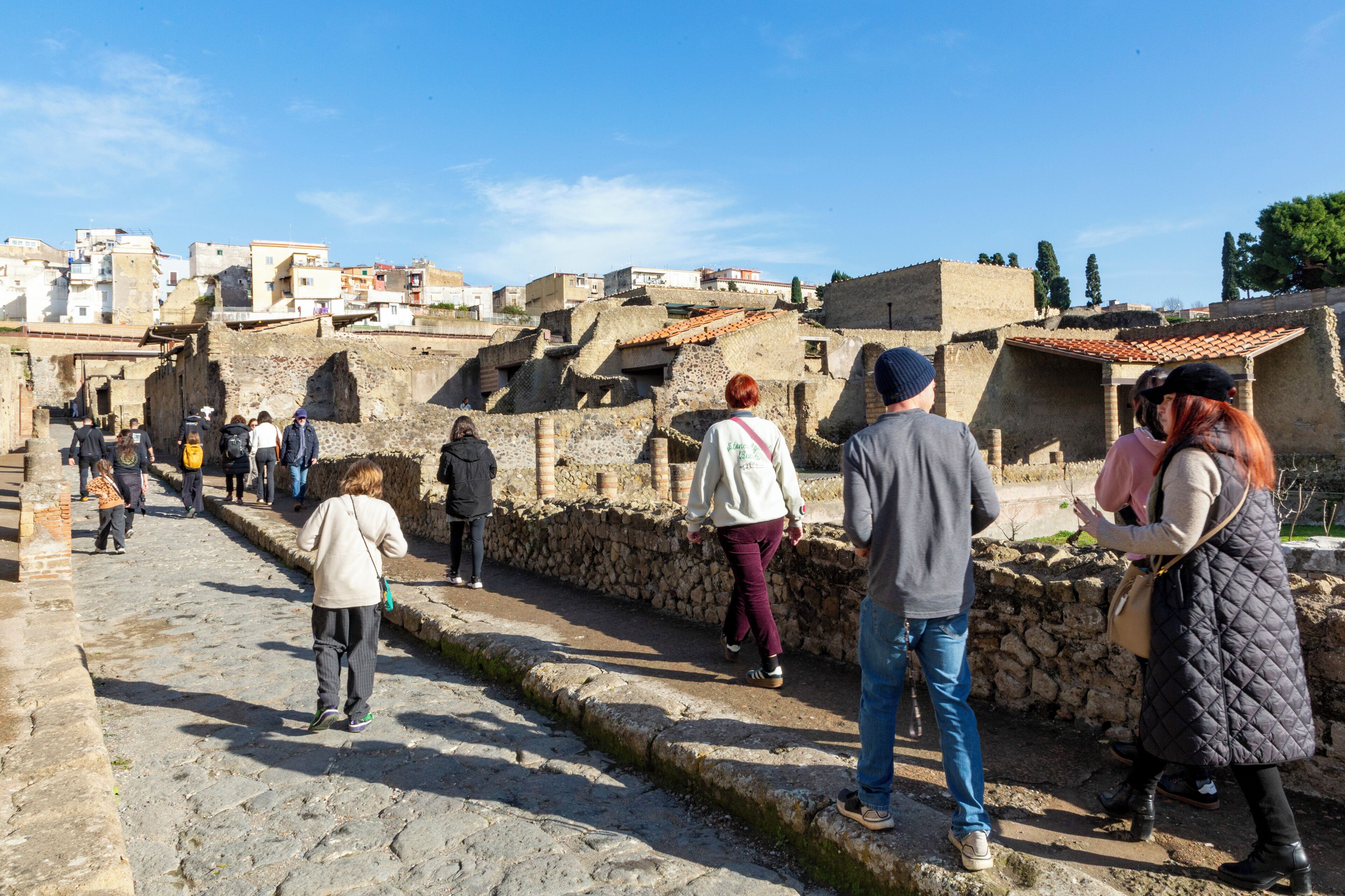 From Herculaneum: Guided Walking Tour with Tickets Included
