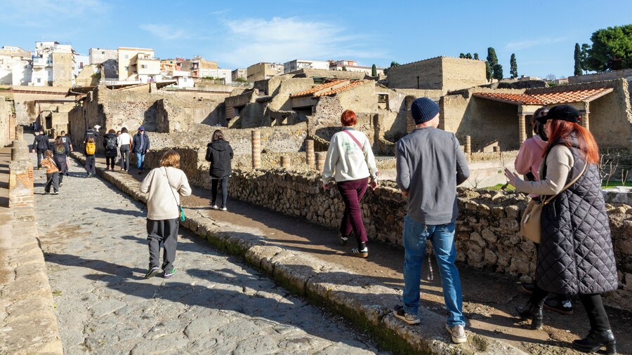 From Herculaneum: Guided Walking Tour with Tickets Included
