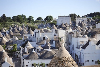 Tour of LOCOROTONDO and ALBEROBELLO departing from Bari