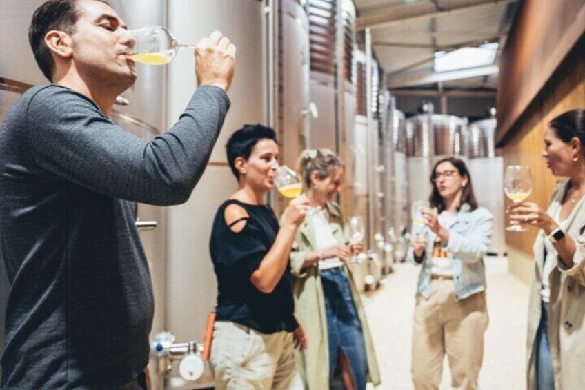 "Basque Whaleship & Cider House" tour + meal from San Sebastian
