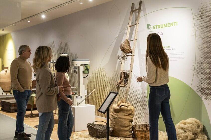 Oil Museum in Tuscany: interactive tour and tasting