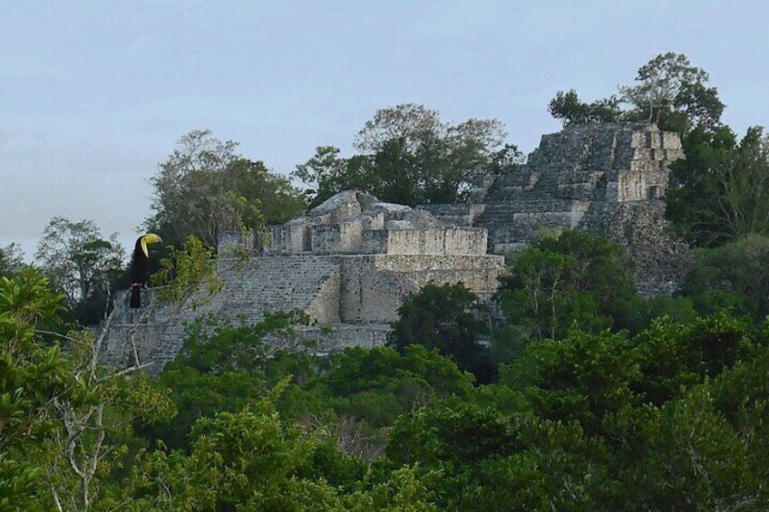 Calakmul Ancient Maya City Tour From Xpujil