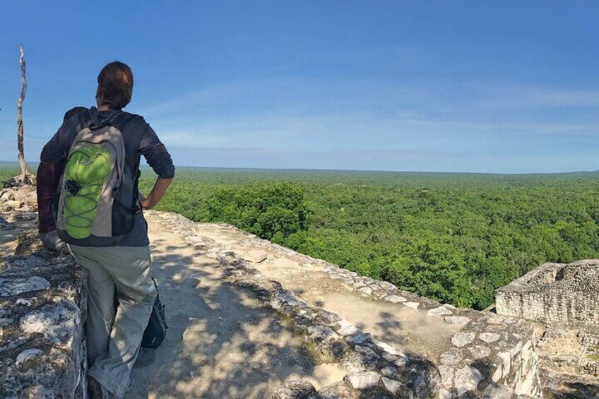 Calakmul Ancient Maya City Tour From Xpujil