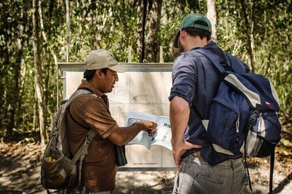 Calakmul Ancient Maya City Tour From Xpujil