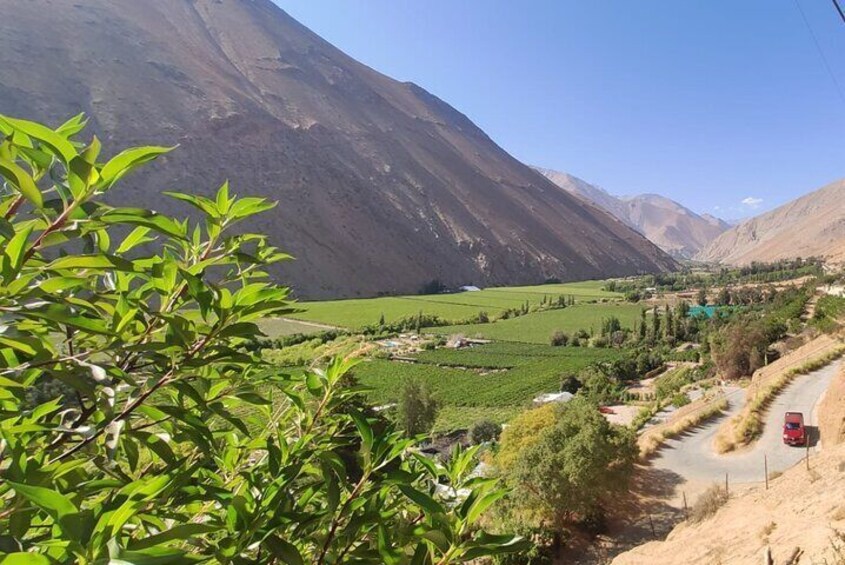 Private Bike Tour through the Elqui Valley