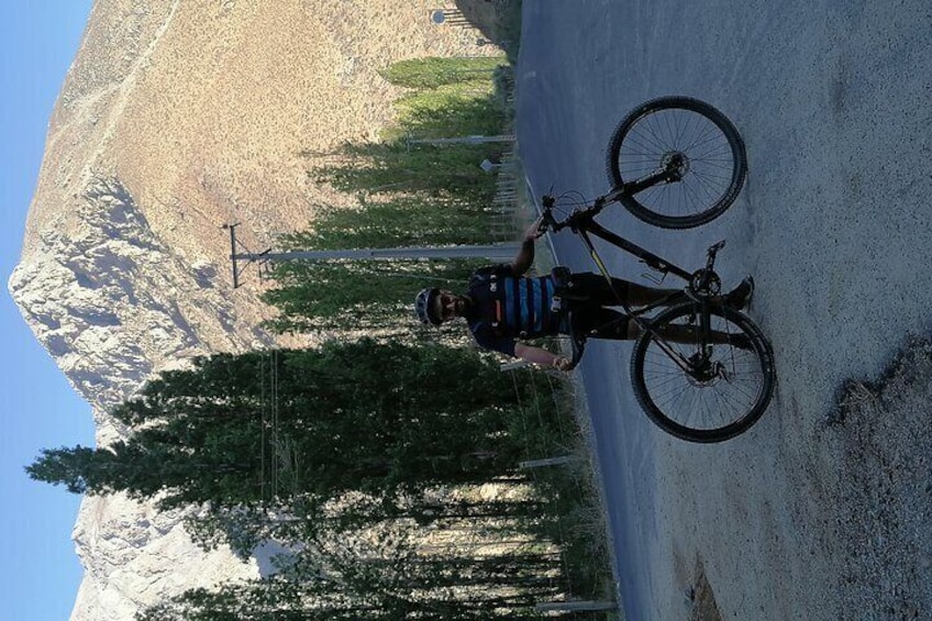 Private Bike Tour through the Elqui Valley