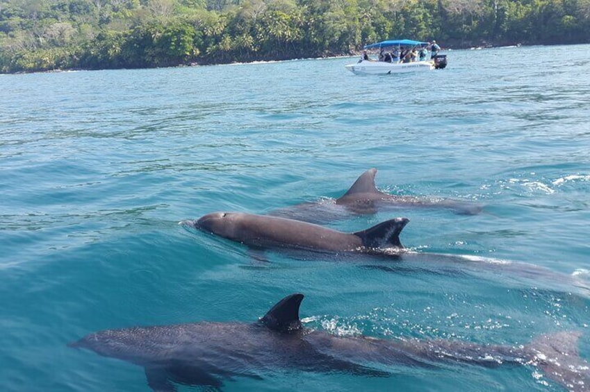 Family Package Private Fishing and Snorkel