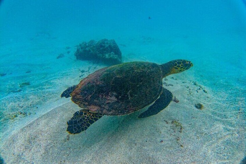 Family Package Private Fishing and Snorkel