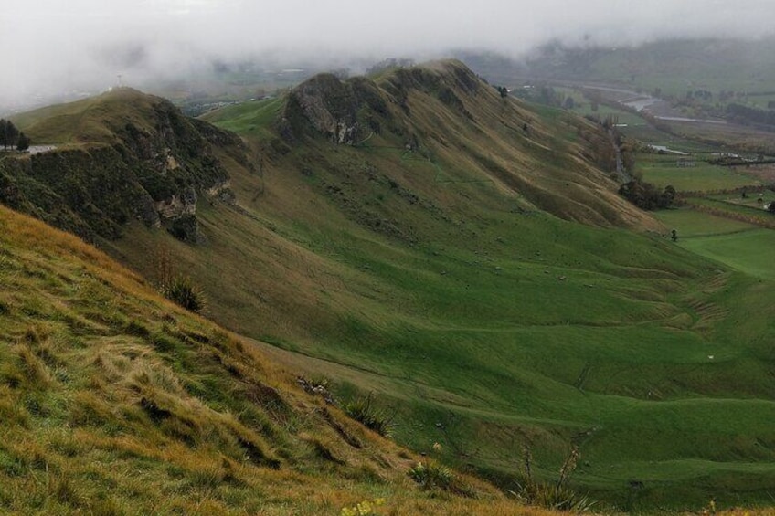 Half Day Sights and Tastes Tour in Napier 