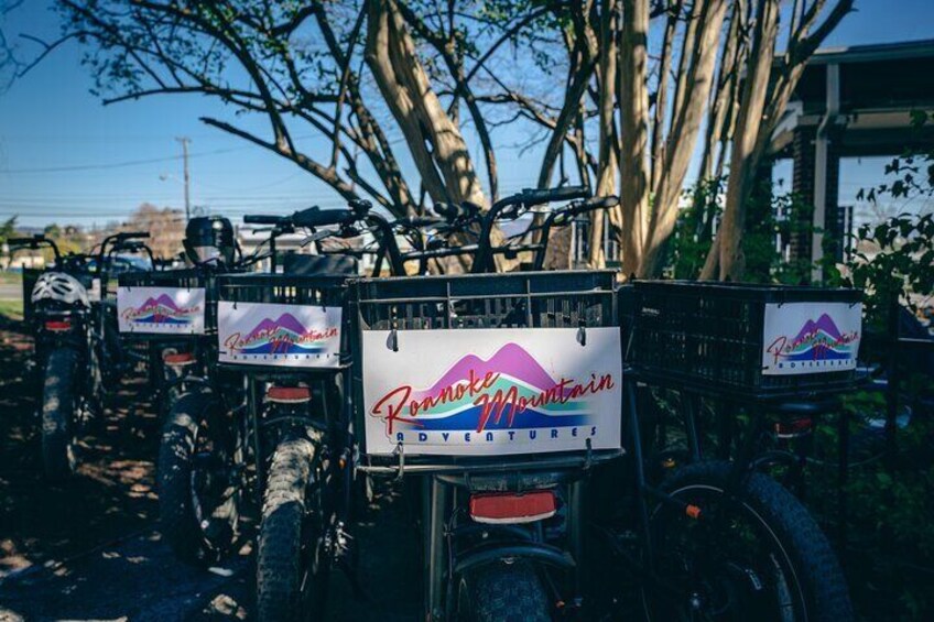 Roanoke Holiday Season E-Bike Tour