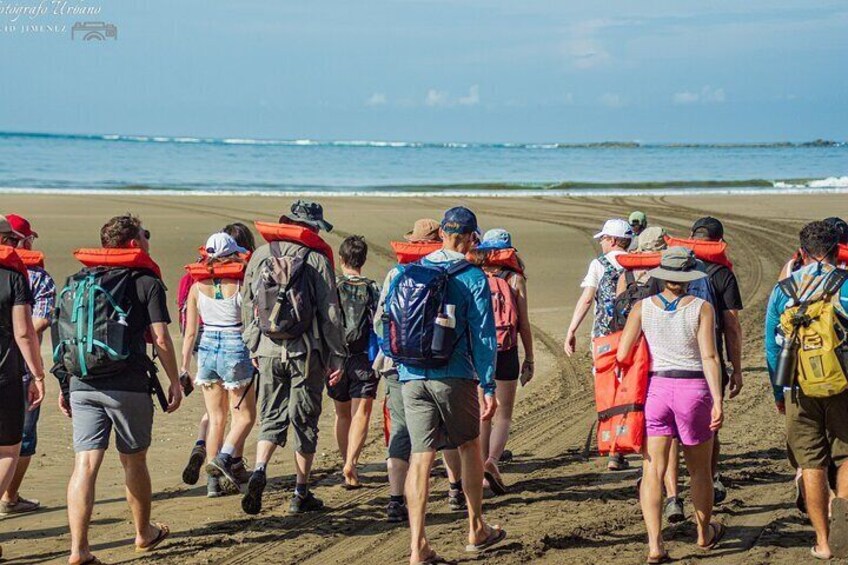 Whale and Dolphin Combo Tour in Marino Ballena National Park 