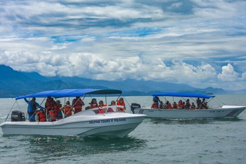 Whale and Dolphin Combo Tour in Ballena National Marine Park 