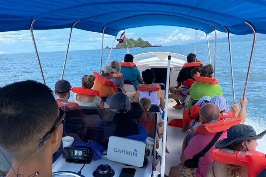 Whale and Dolphin Combo Tour in Marino Ballena National Park