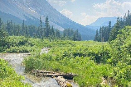 Custom Guided Hike in Canmore Kananaskis