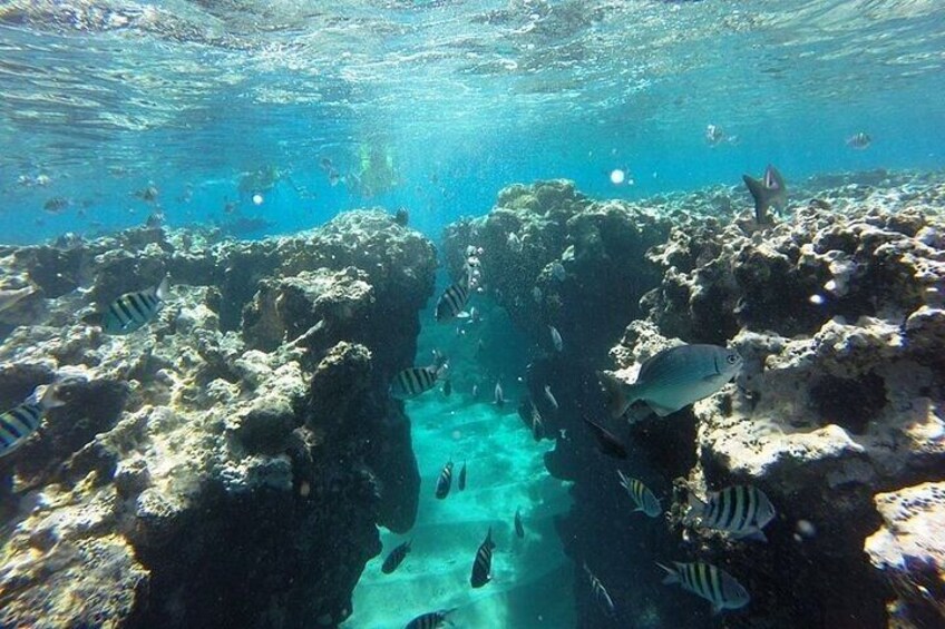 Half Day Sosua Sunset Cruise with Snorkeling